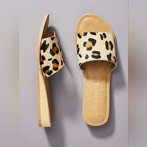 Coconuts by Matisse Tiki Slides